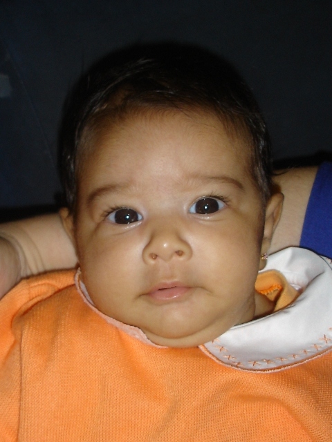 fev 2010
